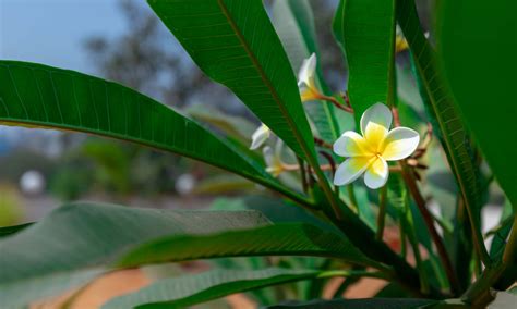 Gallery - Images from Hotel Parklane