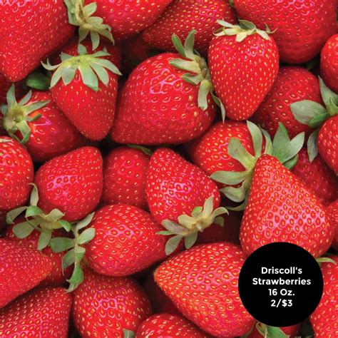 GARDEN GOURMET MARKET - SUPERMARKET - Bronx NY - Hours, Directions ...