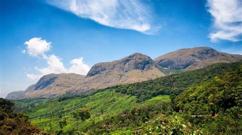 Snowfall Destination In Kerala: Snow Or Frost? Munnar Turns Into A ...