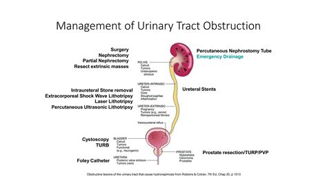 ACUTE AND CHRONIC URINARY RETENTION.pptx