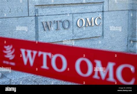 WTO 的图像结果