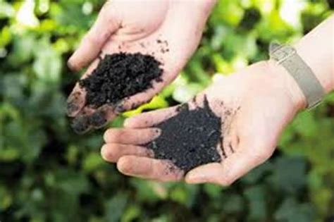 Agriculture Biochar - 25 Kg Organic Biochar Fertilizer Service Provider ...