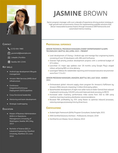 Resume Examples for Program Manager 的图像结果