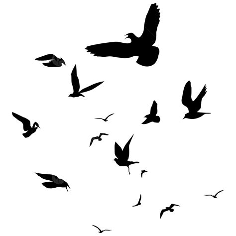 Birds Flying Silhouette PNG Images, Flying Birds Silhouette, Bird ...