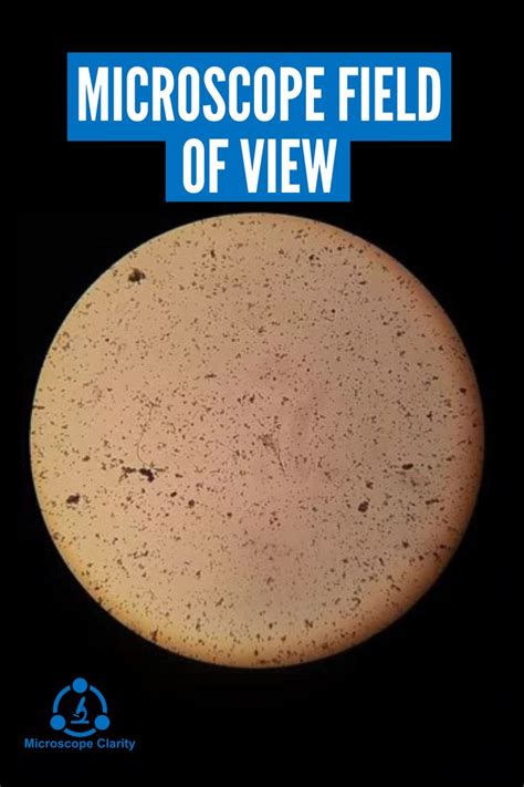 Field of View Microscope 的图像结果