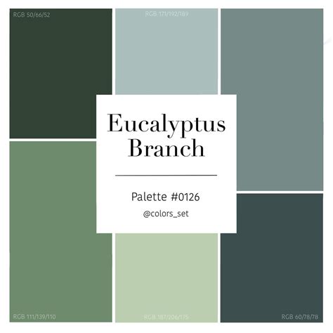 Eucalyptus green solid color by raquelvsa – Artofit