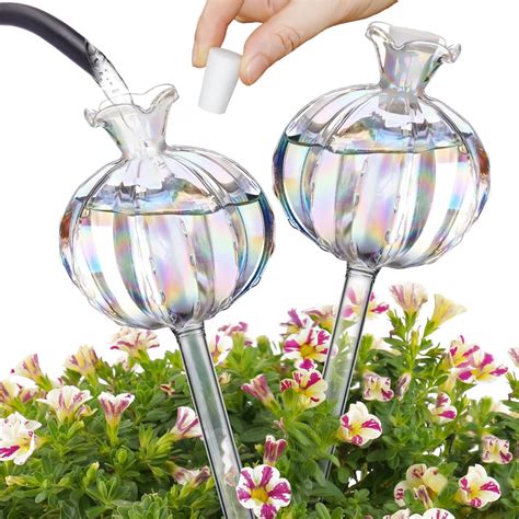 Amazon.com: NiHome Plant Watering Globes 2-Pack, Iridescent Glass Cactus Self Watering Globe ...