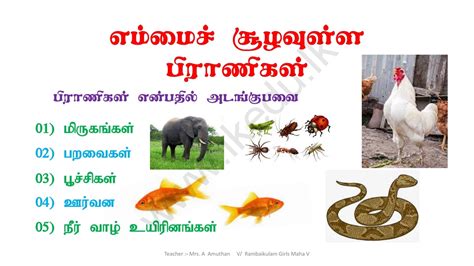 Image result for Public Main Java