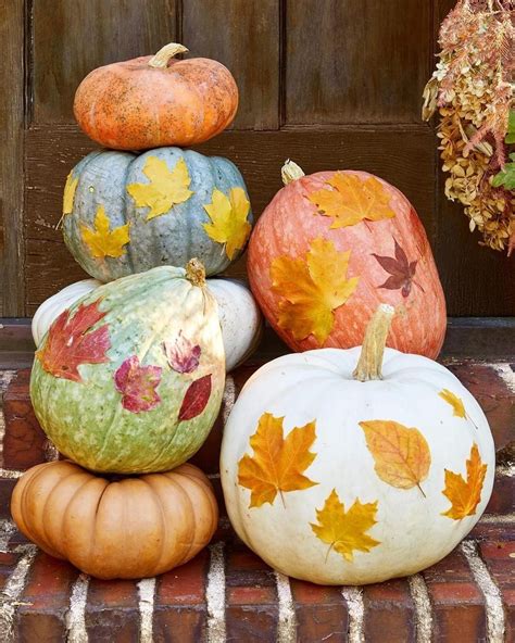 22+ Cute Pumpkin Painting Ideas To Try (2025) - DrExplains