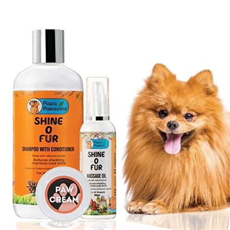 Amazon.in Bestsellers: The most popular items in Dog Shampoos Plus ...