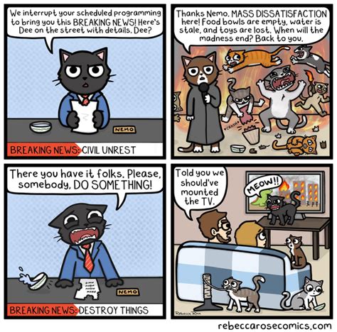 Breaking News Local Meme 的图像结果