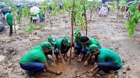 Petition · The people of our country plant more trees and save our ...