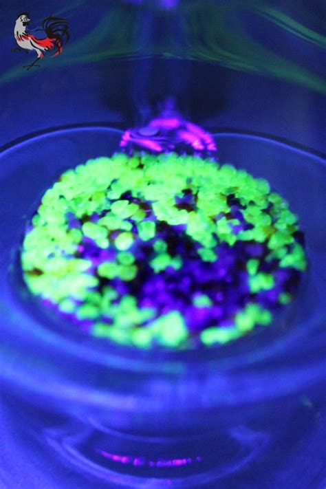 Image result for Micro Can