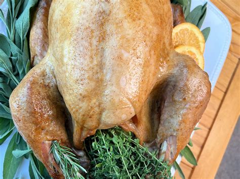 How to Cook a Turkey in a Roaster 的图像结果