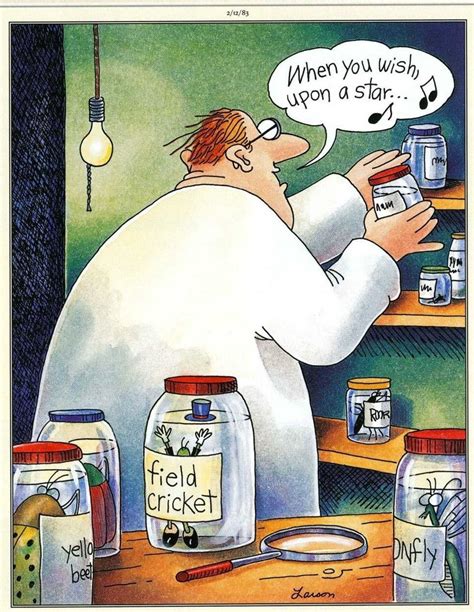 15 Greatest Far Side Comics of All Time