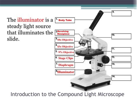 Image result for Light Switch Microscope Function