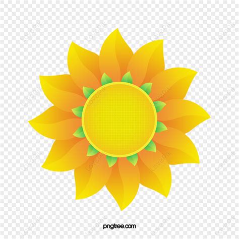 Vector Sunflow Images, HD Pictures For Free Vectors Download - Lovepik.com
