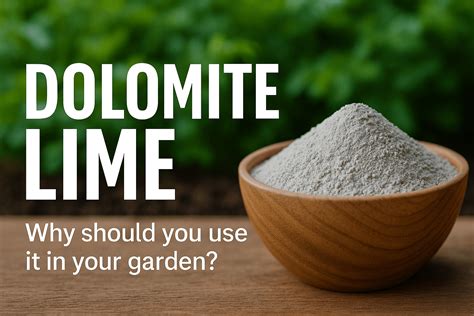 How to Use Dolomite Lime for Healthier Soil and Stronger Plants — Green ...