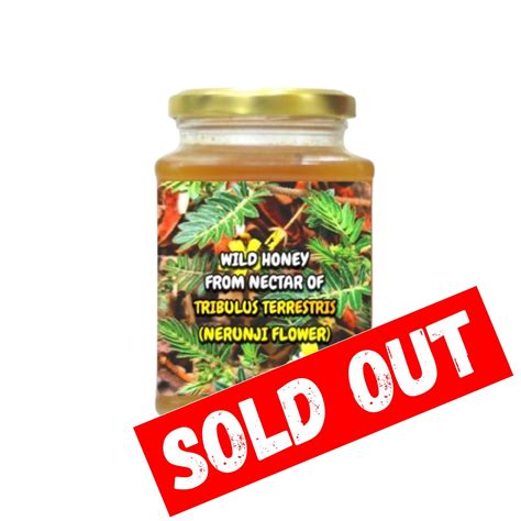 Wild Honey From The Nectars Of Tribulus Terrestrisa (Nerunji Poo ...
