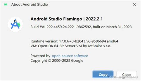 Could Not Initialize Class Org.codehaus.groovy.Runtime.invokerhelper 的图像结果