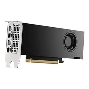 Amazon.in: Buy PNY NVIDIA RTX 2000 Ada Generation 16GB GDDR6 128-bit ...