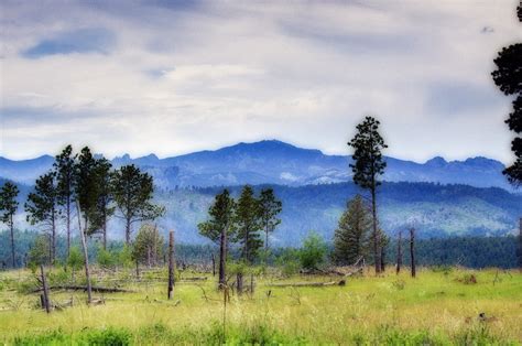 Elevation Of Rapid City Sd