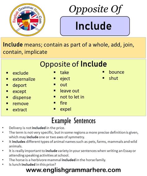 Include 3 формы глагола, перевод, произношение и спряжение - English4Life