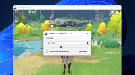 Image result for FPS Unlocker Tutorial
