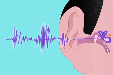 HEARING IMPAIREMENT OR HEARING LOSS ~ Nursing Path