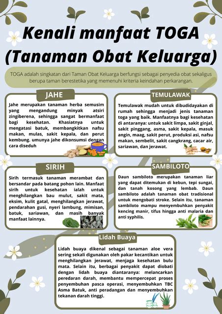 manfaat tanaman toga