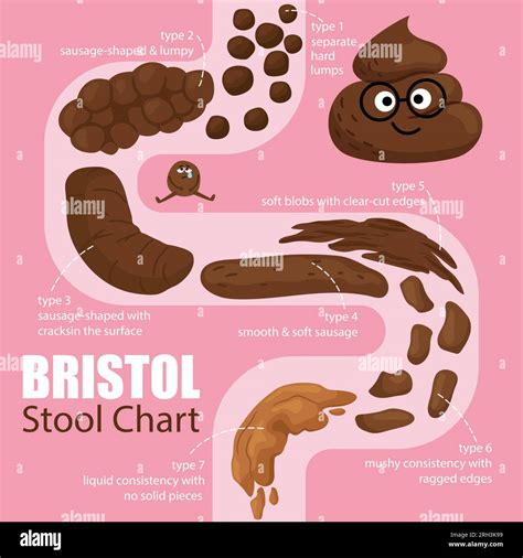 Vector isolated cartoon illustration on white of a set different types ...