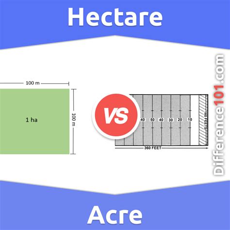 Hektar vs Acre: Was ist der Unterschied zwischen Hektar und Acre? | Difference 101