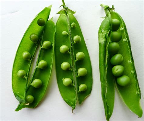 Peas In Spanish Formal at Elsie Tucker blog