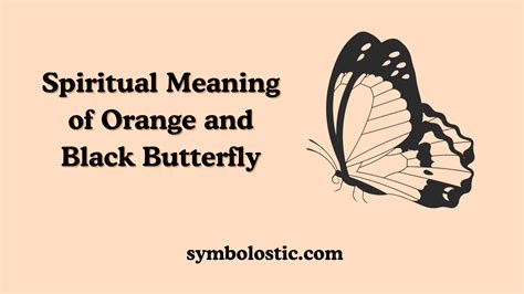 Spiritual Meaning of Orange and Black Butterfly