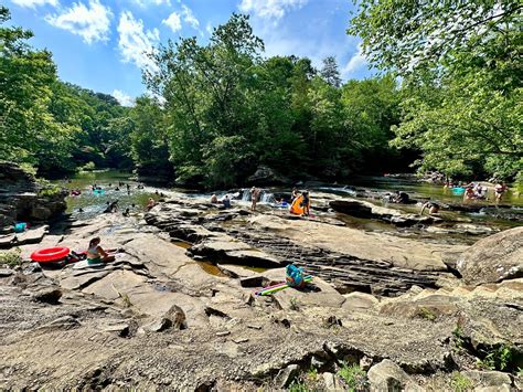 Turkey Creek 101 — Ruffner Mountain