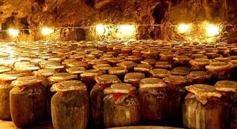 在农村如何设计,建造地下白酒酒窖,带你了解白酒酒窖的基本要求-比士亞