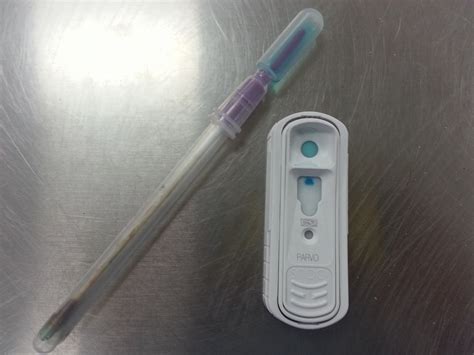 Pin on Veterinarian Information