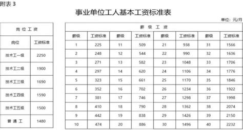 2023年阜阳事业单位工资待遇标准包括哪些方面