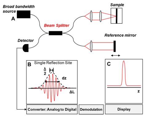 Image result for Optical Coherence Tomography Tutorial