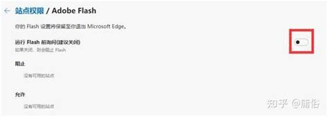 Flash Plug-In Edge 的图像结果