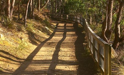 KNOCKLOFTY RESERVE - All You Need to Know BEFORE You Go 2026 (with ...