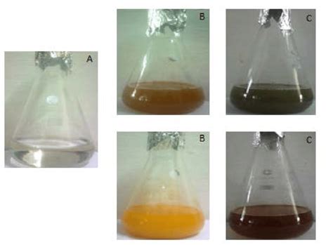 Synthesis of silver nanoparticles. (A) AgNO 3 solution; (B) AgNO 3 ...
