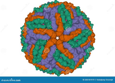 The Cryo-EM Structure of Zika Virus Stock Illustration - Illustration of flavivirus, morphology ...