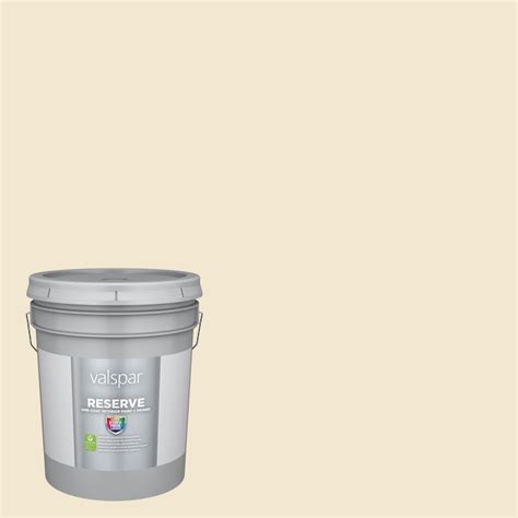 Valspar Reserve Eggshell Kabuki Clay 3003-8c Latex Interior Paint ...