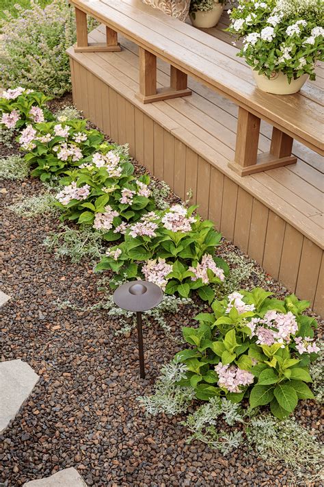 What Size Pot To Grow Hydrangeas at Helen Williamson blog