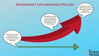 Image result for 养老 endowment insurance