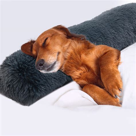 Amazon.com : HOMBYS 25" Length Dog Pillows for Large and Medium Dogs ...