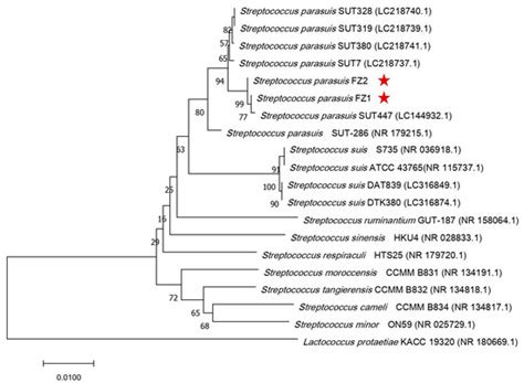 Genomic Characterization of Potential Opportunistic Zoonotic ...