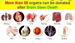 donate organs after death india - मृत्यु के बाद अंगों का दान करें? how ...