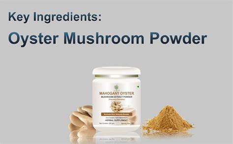 Mahogany Oyster Mushroom Powder 200g : Amazon.in: Grocery & Gourmet Foods